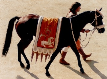 Vitraliu del Fontino