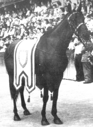 Vittoria II